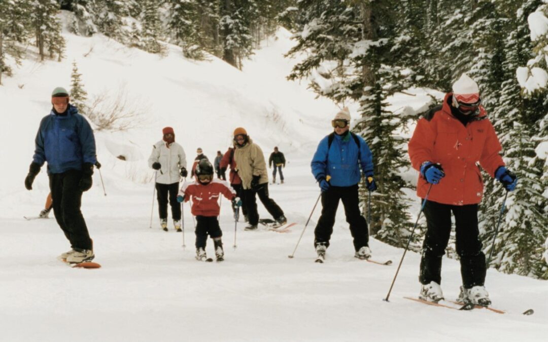 People skiing and snowboarding with colorful jackets along a path between trees