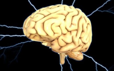 Brain Injury Awareness Month: Citizens Commission on Human Rights Renews Call for Ban on Brain-Damaging Electroshock
