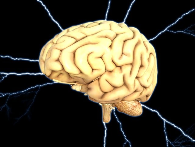 Brain Injury Awareness Month: Citizens Commission on Human Rights Renews Call for Ban on Brain-Damaging Electroshock